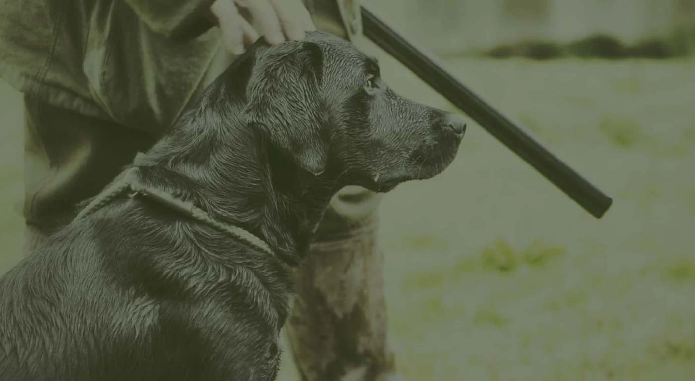 Style Rooted in Pure Nature